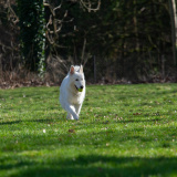 DSC_0845