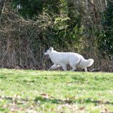 DSC_1399