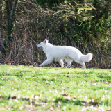 DSC_1401