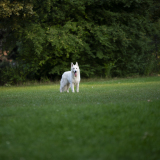 DSC_6790