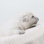 01_HOLKA-036