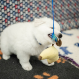 DSC_8059