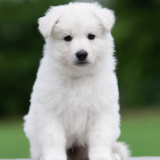 E-LITTER-GIRL-03-DSC_7829