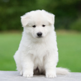 E-LITTER-boy-01-DSC_7560