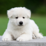 E-LITTER-boy-01-DSC_7571