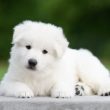 E-LITTER-boy-02-DSC_7278