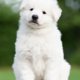 E-LITTER-boy-02-DSC_7311