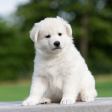 E-LITTER-boy-03-DSC_7377