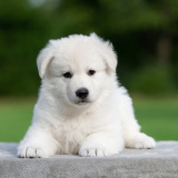 E-LITTER-boy-03-DSC_7416