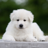 E-LITTER-boy-04-DSC_7471
